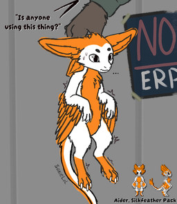 anthro blank_expression bodily_fluids feet fur grey_background male nervous nervous_sweat orange_body orange_fur poster scruff_grab simple_background solo sweat talons text toes wall_(structure) winged_arms wings silkielol space_station_13 avali resomi english_text