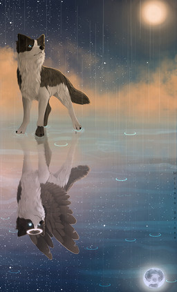altered_reflection ambiguous_gender black_body black_feathers black_fur black_nose blue_eyes detailed_background feathered_wings feathers feral front_view fur glowing glowing_eyes halo moon night nude outside paws puddle quadruped raining reflection sky skyscape solo standing star starry_sky sun three-quarter_view water white_body white_fur wings maplespyder canid canine canis domestic_dog mammal 2013 digital_media_(artwork) full-length_portrait hi_res portrait