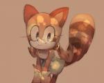 anthro blue_eyes brown_background brown_body brown_fur clothing female fur gloves handwear orange_body orange_fur pigtails shirt simple_background smile solo topwear young mictlantechutli sega sonic_the_hedgehog_(series) marine_the_raccoon mammal procyonid raccoon 5:4