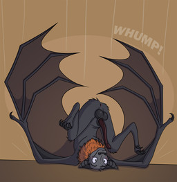 animal_genitalia anthro anus balls butt claws embarrased_horny embarrassed erection genitals male membrane_(anatomy) membranous_wings penis sheath solo toe_claws upside_down winged_arms wings shinktanoro root bat mammal megabat hi_res