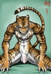 balls biceps chest_tuft felid fur genitals green_eyes half-erect humanoid_genitalia humanoid_penis looking_at_viewer male mammal muscular muscular_male nai-chan nude pantherine penis simple_background solo stripes tail tiger tuft