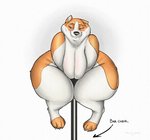 anthro blush breasts female overweight overweight_anthro overweight_female solo hehky canid canine canis domestic_dog mammal shiba_inu spitz