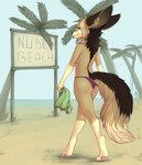 anthro barefoot beach big_ears black_nose blonde_hair butt casual_exposure cheeky_panties clothed clothing day detailed_background digitigrade dipstick_tail feet female gloves_(marking) hair inner_ear_fluff leg_markings markings nude_beach outside palm_tree panties pawpads pink_pawpads plant purple_eyes sand sea seaside sign sky smile socks_(marking) solo tail tail_markings text topless tree tuft underwear water yshanii osiris_henschel canid canine fennec_fox fox mammal true_fox 2020 digital_media_(artwork) english_text hi_res shaded