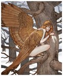 avian_feet blood bodily_fluids crouching eating feathered_wings feathers female forest hair long_hair looking_back nude plant snow solo tail tail_feathers tree wings bluefooted european_mythology greek_mythology mythology avian bird harpy humanoid mythological_avian mythological_creature