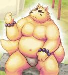 anthro asian_clothing belly biped clothing east_asian_clothing fundoshi humanoid_hands japanese_clothing male moobs navel nipples outside overweight overweight_anthro overweight_male sitting solo underwear lako gingitsune gintaro canid canine fox mammal 2011