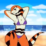 anthro beach bikini black_body black_eyes black_markings black_scales black_stripes blush breasts clothed clothing female hands_behind_head markings nipple_outline non-mammal_breasts orange_body orange_scales pupils purple_clothing scales seaside simple_background snake_hood solo striped_body stripes swimwear tail tail_grab tan_body two-piece_swimsuit under_boob white_pupils steviechu jason_(snekyawns) cape_coral_snake cobra coral_snake elapid_(snake) reptile scalie shield-nosed_cobra snake 1:1 2022 absurd_res digital_media_(artwork) hi_res shaded signature