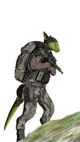 accessory ambiguous_gender anthro backpack bag belt biped boots camo camo_clothing camo_print clothed clothing crossed_arms digitigrade footwear furgonomic_footwear furgonomic_headwear furgonomics gloves green_body gun handwear hat headgear headwear holding_gun holding_object holding_ranged_weapon holding_rifle holding_weapon military_uniform pattern_clothing ranged_weapon rifle scope shoes simple_background solo standing tail tail_accessory tail_bag uniform weapon white_background yellow_eyes tiny_dragon project_silverfish inheritor lizard reptile scalie 9:16 hi_res