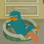 4_fingers balls barefoot beak clock erection feet fingers genitals inside lying male masturbation nude on_back penile penile_masturbation penis solo tail tapering_penis toony watch wristwatch moonbeamcat disney phineas_and_ferb perry_the_platypus mammal monotreme platypus