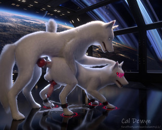 anal anal_orgasm anal_penetration animal_genitalia animal_penis balls bdsm bodily_fluids bondage bound canine_genitalia canine_penis cum cum_while_penetrated cumshot digitigrade duo ejaculation erection feral feral_on_feral feral_penetrated feral_penetrating feral_penetrating_feral from_behind_position fur genital_fluids genitals hands-free hypnosis hypnotic_visor intraspecies knot knotted_penis looking_pleasured male male/male male_on_bottom male_on_top male_penetrated male_penetrating male_penetrating_male mating_grip mind_control mounting on_bottom on_top one-handed_mating_grip one_sided_climax orgasm penetration penile penile_penetration penis penis_in_ass planet planet_rings quadruped restraints science_fiction sex sheath space spacestation spreader_bar white_body white_fur cal_dewyn canid canine canis mammal wolf 3d_(artwork) 3d_animation 5:4 absurd_res animated digital_media_(artwork) hi_res no_sound short_playtime webm