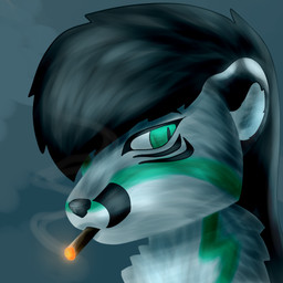 anthro black_hair cigar cigar_in_mouth ears_back femboy fur grey_background grey_body grey_fur hair inner_ear_fluff male object_in_mouth pivoted_ears shiruba_lockraith simple_background smoking smoking_cigar smoking_tobacco solo teal_eyes tuft white_face shirubafoxy arctic_fox canid canine fox mammal true_fox 1:1