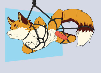 anthro bdsm big_tail bondage bound captured erection fur genitals knot male nude penile penis restraints rope rope_bondage rope_harness simple_background solo submissive tail corginamedbruno lox_keeki canid canine fox mammal absurd_res digital_media_(artwork) hi_res