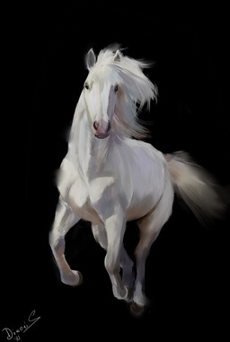 feral hair male mane solo white_body white_hair white_mane dimonis equid equine horse mammal hi_res