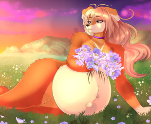anthro belly big_belly female flower huge_belly hyper nature plant pregnant pregnant_anthro pregnant_female solo bertyborts buttercup_(pack-leader) canid mammal hi_res