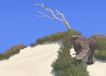 ambiguous_feral ambiguous_gender beak day dead_tree feet feral group looking_at_viewer looking_back looking_back_at_viewer natural_armor outside plant quadruped rear_view sand scales sky solo_focus spikes spikes_(anatomy) standing tail tan_body tan_scales tree knuppitalism ambient_bird ankylosaurian dinosaur ornithischian patagopelta prehistoric_species reptile scalie thyreophoran absurd_res hi_res