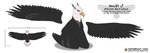 beak eyewear goggles male simple_background solo spread_wings standing text white_background wings thathornycat capitoline_ranch bailey_(capitoline_ranch) accipitrid accipitriform avian bald_eagle bird eagle sea_eagle absurd_res colored english_text hi_res model_sheet url