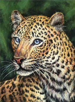 ambiguous_gender blue_eyes feral fur photorealism realistic solo whiskers yellow_body yellow_fur bisanti felid leopard mammal pantherine pastel_(artwork) traditional_media_(artwork)