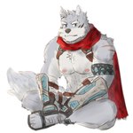 5_toes anthro clothing eyebrows feet footwear fur grey_body grey_fur male nipples pecs sandals scarf shoes simple_background sitting solo thick_eyebrows toes white_background fujisakiaming crave_saga hakuma_(crave_saga) canid canine canis mammal wolf 1:1 absurd_res hi_res