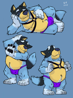 4_fingers 4_toes anthro bedroom_eyes belly black_body black_fur blue_background blue_body blue_eyes blue_fur bulge closed_smile clothed clothing feet fingers fur harness leather leather_harness looking_at_viewer lying male male_anthro mature_anthro mature_male mouth_closed multicolored_body multicolored_fur narrowed_eyes navel on_side pawpads pointy_ears purple_clothing purple_thong purple_underwear seductive simple_background slightly_chubby slightly_chubby_anthro slightly_chubby_male smile solo standing tail teeth text thong toes underwear underwear_only yellow_body yellow_fur k-9 bluey_(series) bandit_heeler australian_cattle_dog canid canine canis cattledog domestic_dog herding_dog mammal pastoral_dog 2025 artist_name colored dated digital_drawing_(artwork) digital_media_(artwork) hatching_(art) hi_res multiple_scenes shaded