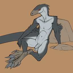 anthro arm_tuft athletic athletic_male balls belly claws collarbone digitigrade elbow_tuft feather_tuft feathers finger_claws flaccid foreskin genitals grey_arms grey_body grey_legs grey_tail head_tuft humanoid_genitalia humanoid_penis long_tail looking_at_viewer male navel nude nude_male orange_eyes penis rock saggy_balls simple_background sitting snout solo tail toe_claws tuft unretracted_foreskin white_belly white_body white_chest bullchicken dinosaur dromaeosaurid prehistoric_species reptile saurischian scalie theropod velociraptor 1:1 2026 colored digital_drawing_(artwork) digital_media_(artwork) flat_colors