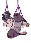 anthro bdsm big_breasts bodily_fluids bondage bound breasts butt crotch_rope female genital_fluids genitals purple_rope pussy pussy_floss restraints rope rope_bondage rope_harness simple_background solo spread_legs spreading suspension thick_thighs vaginal_fluids white_background nastypasty tia_(nastypasty) hyena mammal spotted_hyena 2018 hi_res