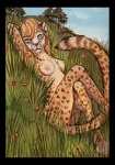 anthro breasts female genitals looking_at_viewer nipples nude pose pussy solo tail seskata cheetah felid feline mammal pinup