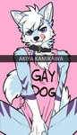 anthro blue_body blue_fur bottomless chevron_(marking) clothed clothing collar convenient_censorship cute_fangs fangs fur licking licking_lips male markings pink_background purple_eyes shirt simple_background solo stated_homosexuality stated_sexuality teeth tongue tongue_out topwear akiya-kamikawa jem_star canid canine canis domestic_dog mammal distracting_watermark hi_res signature watermark