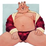 anthro ball_slip balls barbell_piercing belly biped blush bodily_fluids bulge clothing ear_piercing eyewear facial_piercing genitals glasses jockstrap male male_anthro nipple_barbell nipple_piercing nipples nose_piercing overweight pattern_clothing pattern_underwear piercing plaid plaid_clothing plaid_jockstrap plaid_robe plaid_underwear red_plaid sitting solo sweat underwear orangebear orange_the_bear bear brown_bear mammal ursine 1:1 hi_res