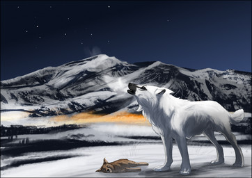 black_border black_lips black_nose border detailed_background duo feral fur lips mountain night outside sky star starry_sky white_body white_fur oneminutesketch canid canine canis mammal wolf 2015 digital_media_(artwork)