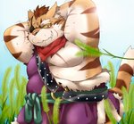 anthro belly blush bodily_fluids clothing eye_patch eyewear grass kemono male moobs one_eye_obstructed outside overweight overweight_anthro overweight_male plant robe scar scarf solo stripes sweat tickling nikiciy dragon_quest dragon_quest_x square_enix cat_ribeiro domestic_cat felid feline felis mammal 2013