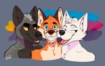 1995_polyamory_pride_colors 2023 anthro arctic_fox blush bruce_(delsol) bust_portrait canid canine chest_tuft countershading delsol fox group henry_(delsol) looking_at_another looking_at_viewer male mammal mohawk polyamory_pride_colors portrait red_fox redd_(delsol) signature smile smiling_at_viewer teeth trio true_fox tuft