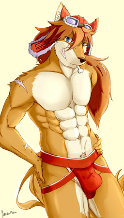 anthro bone bulge clothing eyewear fur goggles jockstrap male muscular muscular_anthro muscular_male orange_body orange_fur smile solo underwear soliscanis cyberconnect2 little_tail_bronx solatorobo red_savarin akita akita_inu canid canine caninu canis domestic_dog mammal spitz 2015 4:7