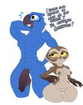 anthro balls beak big_balls big_penis blue_body breasts curvy_figure duo embarrassed feathers female genitals imminent_sex looking_at_another male muscular muscular_male nipples orange_eyes penis pussy saggy_balls seductive short_stack size_difference smaller_female tail tail_feathers text thick_thighs yellow_eyes thelordjoshua1 blue_sky_studios rio_(series) betta_the_burrowing_owl_(blu_waifu) blu_(rio) fan_character athene_(genus) avian bird burrowing_owl macaw neotropical_parrot owl parrot spix's_macaw true_owl true_parrot absurd_res hi_res spanish_text