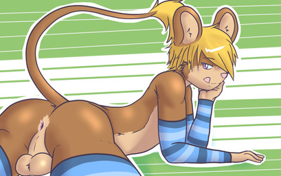 anthro anus arm_support arm_warmers armwear backsack balls biped blonde_hair brown_body brown_fur butt clothing femboy fur genitals gloves_(marking) hair half-closed_eyes hand_on_chin leaning_on_elbow legwear licking licking_lips licking_own_lips looking_at_viewer looking_back lying male markings mostly_nude narrowed_eyes on_front outline pattern_armwear pattern_background pattern_clothing pattern_legwear pink_nose purple_eyes raised_tail seductive self_lick short_hair simple_background smile solo stockings striped_armwear striped_background striped_clothing striped_legwear stripes tail tail_tuft tan_body tan_fur tongue tongue_out tuft crackers_(artist) crackers_(crackers) dipodid dipodomyine heteromyid jerboa kangaroo_mouse mammal rodent 2015 digital_media_(artwork)