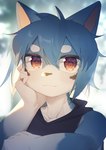 anthro blue_body blue_fur blue_hair blush clothed clothing countershading fur gloves_(marking) hair kemono looking_at_viewer male male_anthro markings multicolored_body multicolored_fur solo two_tone_body two_tone_fur white_body white_fur young young_anthro young_male toye2004 yongzhe domestic_cat felid feline felis mammal 2024 absurd_res digital_media_(artwork) hi_res portrait