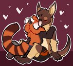 anthro black_body black_fur boxers_(clothing) brown_body brown_fur brown_hair claws clothed clothing eye_scar eyes_closed eyewear facial_scar fluffy full_pad fur glasses grey_pawpads grey_soles hair kissing male male/male markings orange_body orange_fur pawpads paws plantigrade scar striped_markings striped_tail stripes tail tail_markings tan_body tan_fur underwear underwear_only white_body white_fur tickout ra'zim rdy_(character) ailurid gulonine hybrid kangaroo macropod mammal marsupial marten mustelid musteline red_panda sable_(marten) 2025 hi_res