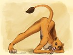 anthro ass_up breasts butt female fur jack-o'_pose looking_at_viewer nude open_mouth pose solo tail tail_tuft tan_body tan_fur tuft yellow_sclera fuzzymaro disney the_lion_king kiara_(the_lion_king) felid lion mammal pantherine sketch