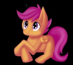 feathered_wings feathers female feral hair orange_body orange_feathers purple_eyes purple_hair quadruped simple_background smile solo tail transparent_background wings young young_feral fauxsquared friendship_is_magic hasbro my_little_pony mythology scootaloo_(mlp) equid equine mammal mythological_creature mythological_equine pegasus alpha_channel hi_res