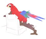 anthro avian_feet beak bird_legs breasts butt chair chest_tuft claws feathers female furniture looking_back non-mammal_breasts red_body red_feathers side_boob solo tail tail_feathers toe_claws tuft omumacaw omu avian bird macaw neotropical_parrot parrot true_parrot