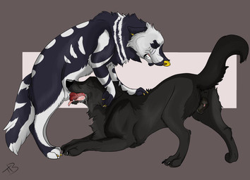 anatomically_correct anatomically_correct_genitalia anatomically_correct_vulva animal_genitalia animal_penis animal_vulva anus black_body black_fur black_nose bodily_fluids canine_genitalia canine_penis canine_vulva claws clenched_teeth deep_throat duo erection eyes_closed face_mounting fellatio female female_penetrated feral feral_on_feral feral_penetrated feral_penetrating feral_penetrating_feral fur genitals intraspecies knot knotted_penis looking_pleasured male male/female male_feral male_penetrating male_penetrating_female multicolored_body multicolored_fur oral oral_penetration penetration penile penile_penetration penis penis_in_mouth red_penis saliva sex sheath simple_background sucking teeth tongue two_tone_body two_tone_fur vulva yellow_nose vailwolf canid canine canis mammal wolf 2018 signature