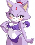 2013 amber_eyes black_nose blaze_the_cat blush breasts cat cleavage clothed clothing feline female fur hair looking_at_viewer mammal navel plain_background ponytail purple_fur purple_hair sega smile solo sonic_(series) sonicboom53 standing swimsuit thick_thighs thighs voluptuous white_background white_skin wide_hips
Rating: Safe
Score: 21
User: Fur_in_the_dark
Date: March 10, 2013