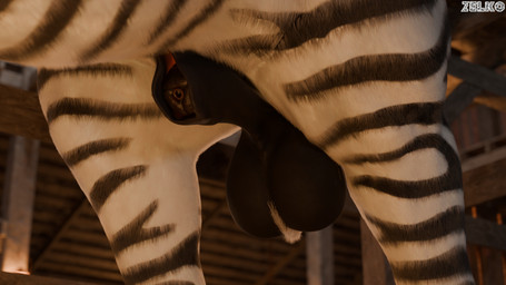 animal_genitalia ball_tuft balls barn close-up feral fully_sheathed genitals male sheath solo striped_body stripes tuft conditional_dnp zelkothezeeb arceronth_(modeler) zelko equid equine felkin hybrid mammal zebra 3d_(artwork) absurd_res blender_(artwork) blender_cycles_(artwork) digital_media_(artwork) hi_res