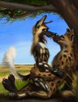 2018 3_toes african_wild_dog anthro anthro_on_anthro black_nose canid canine claws duo eyes_closed fangs feet fur grass hi_res hyena male male/male mammal markings nude open_mouth outside paws plant sky spots spotted_body spotted_fur spotted_hyena swish teeth toe_claws toes tongue tongue_out tree whiskers yellow_eyes