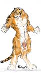 abs anthro balls belly biceps biped feet fur genitals glans half-erect humanoid_genitalia humanoid_penis male muscular muscular_anthro muscular_male navel nipples nude orange_body orange_fur paws penis pink_penis simple_background solo standing white_background white_belly rwolf felid mammal pantherine tiger signature