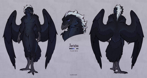 anthro black_body black_feathers cheek_tuft chest_tuft claws facial_tuft feathered_wings feathers male nude nude_anthro nude_male purple_eyes rictal_bristles solo tail tail_feathers text tuft white_body white_feathers wings tashiroth avian bird corvid corvus_(genus) oscine passerine raven absurd_res full-length_portrait headshot_portrait hi_res model_sheet portrait signature