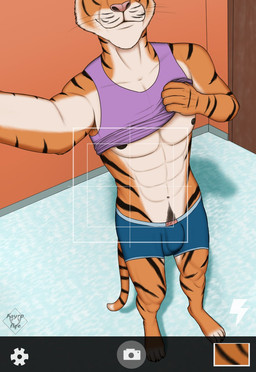 abs anthro boxer_briefs bulge camera camera_phone camera_view clothing electronics fur holding_object holding_phone looking_at_viewer male muscular muscular_anthro muscular_male navel nipples pecs phone photographer recording shirt simple_background solo stripes tank_top topwear underwear fayrofire felid feline mammal pantherine tiger 2022 digital_drawing_(artwork) digital_media_(artwork) hi_res