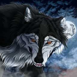 ambiguous_gender bared_teeth black_body black_fur black_nose cheek_tuft cloud facial_tuft fangs feral fur inner_ear_fluff looking_at_viewer moon neck_tuft orange_eyes solo teeth text tuft white_body white_fur white_inner_ear_fluff msdeadsoul canid canine mammal 1:1 2024 artist_name dated hi_res