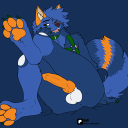 anthro collar erection flirting genitals harness knot knotted_penis male male/male paws penis presenting solo kwik_(artist) wildepaw_fox canid canine fox mammal absurd_res hi_res