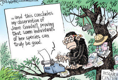 5_fingers 5_toes binoculars brown_hair camera eyewear feet feral fingers forest glasses hair jungle male mouth_closed pencil_(object) pencil_in_hair plant political_cartoon politics research researcher solo toes tree typewriter typing joe_heller ape chimpanzee haplorhine mammal pan_(genus) primate 2025 digital_media_(artwork) hi_res in_memoriam signature