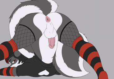 anal_wink anthro anus armwear ass_up backsack balls black_hair bottomless bottomless_male butt clothed clothing elbow_gloves femboy fishnet_clothing fishnet_legwear fur genitals gloves grey_body grey_fur hair handwear heart_clothing heart_symbol humanoid_genitalia humanoid_penis jack-o'_pose legwear male penis pink_penis pose presenting presenting_hindquarters red_eyes red_hair shirt solo stockings throbbing throbbing_balls throbbing_penis topwear white_body white_fur joooon mammal mephitid skunk 2d_animation animated hi_res