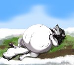 belly big_belly bloated bodily_fluids dribbling drooling feral heavy lying male on_back saliva sleeping solo tongue tongue_out priestofjashin awkore canid canine canis mammal wolf digital_media_(artwork) hi_res